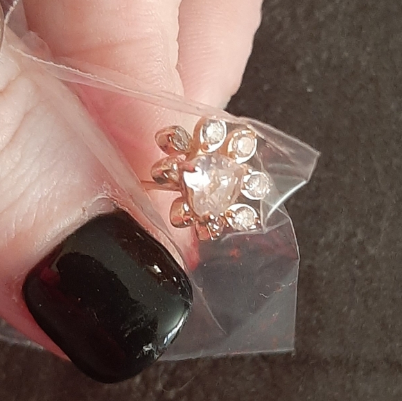 Rose gold ss925 crystal dog or cat paw print earrings nwt - Picture 3 of 3